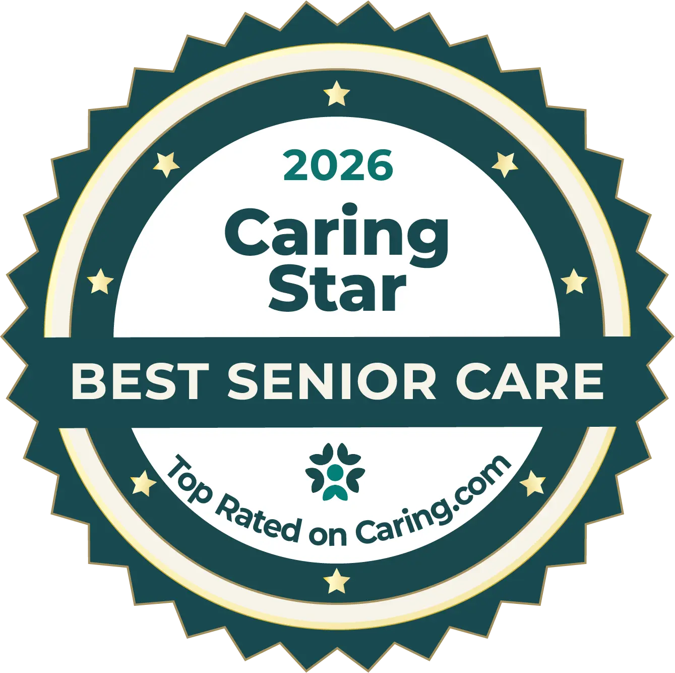 2026 Caring Star Standard Winner (Silver) award badge